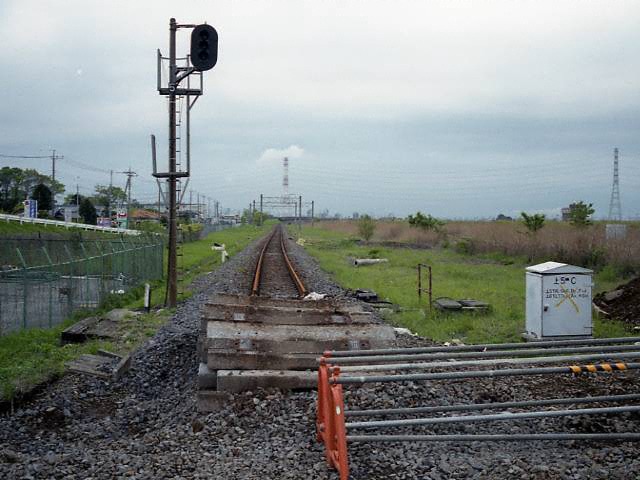 �V�O���w�̐��H�Չ摜