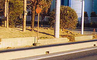 ���J�o�X��̎ʐ^