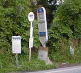 �ւ��Ȃ݂��o�X��ɑ咆���̃o�X�₪�����Ă���l�q�B